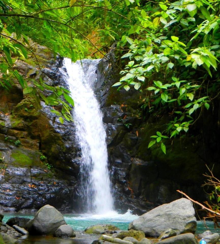 Big Bamboo De Uvita Luaran gambar