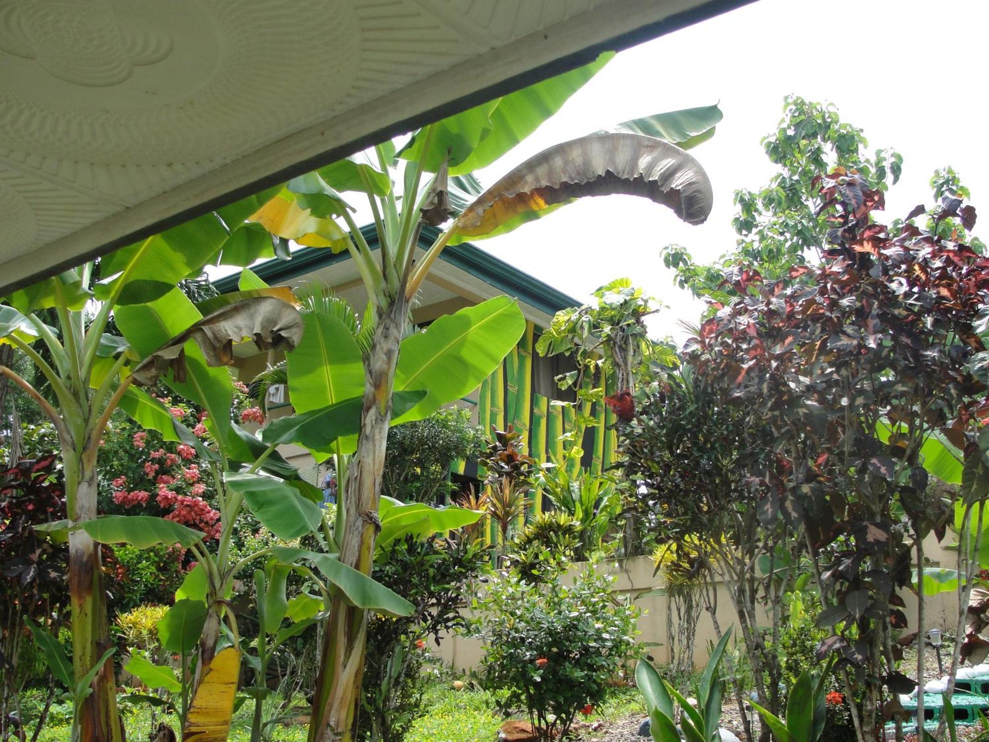 Big Bamboo De Uvita Luaran gambar