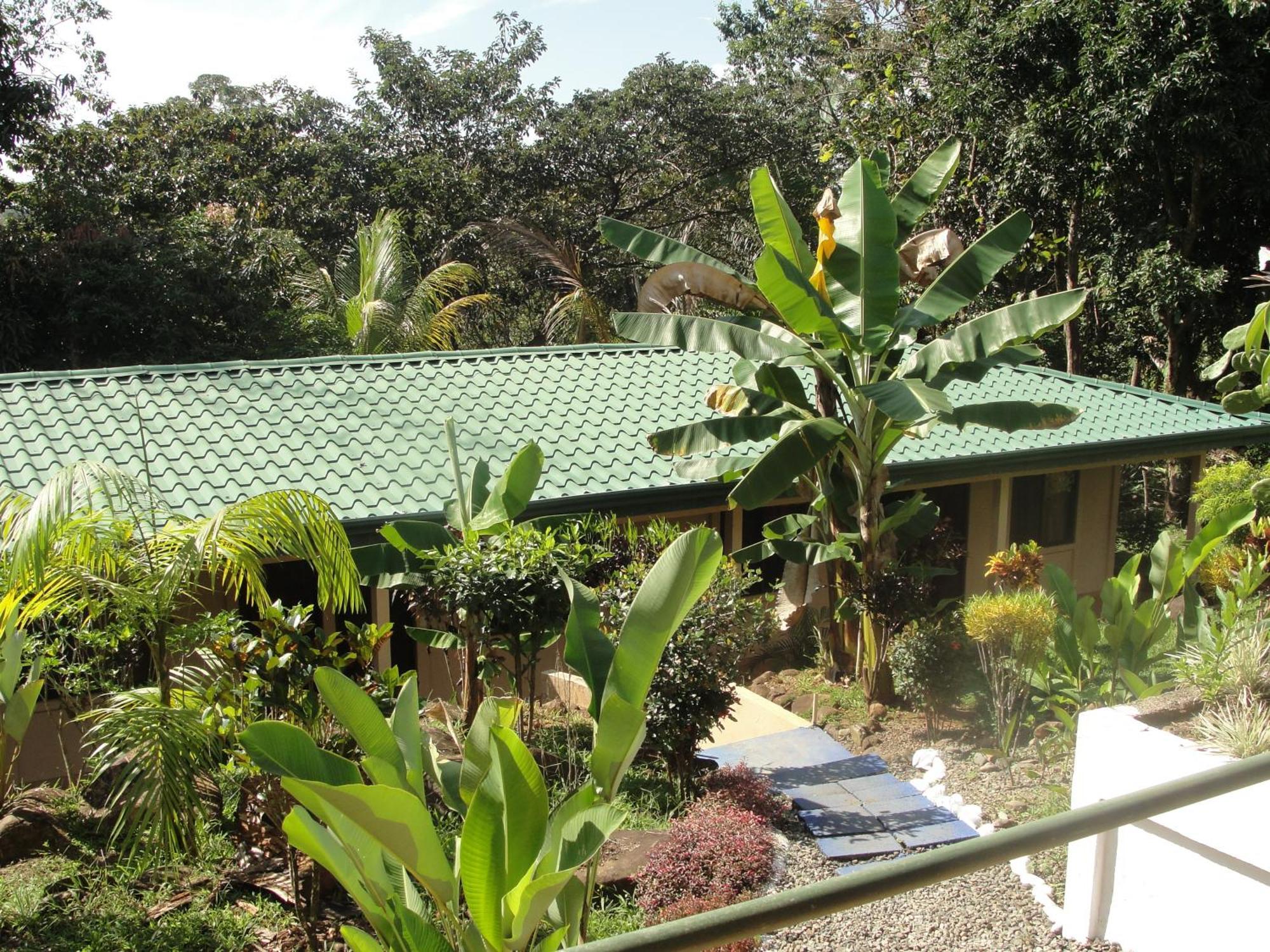 Big Bamboo De Uvita Luaran gambar