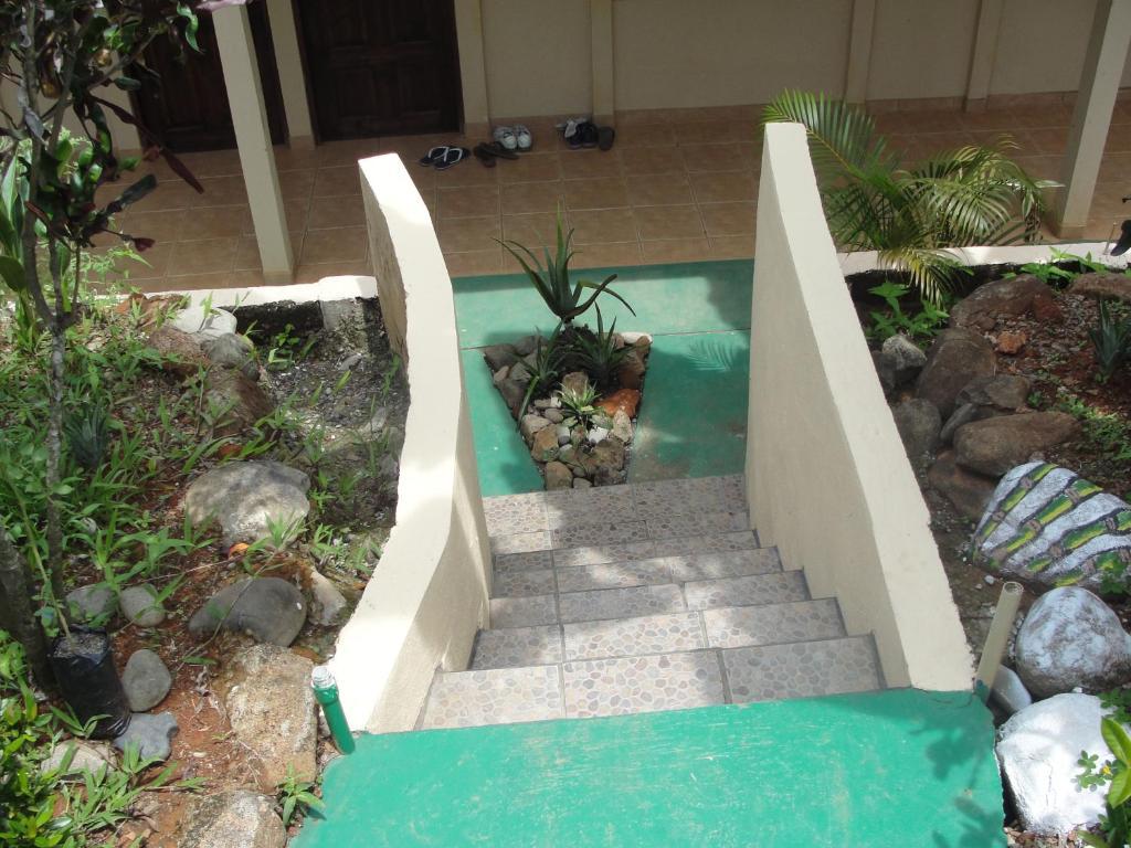 Big Bamboo De Uvita Bilik gambar