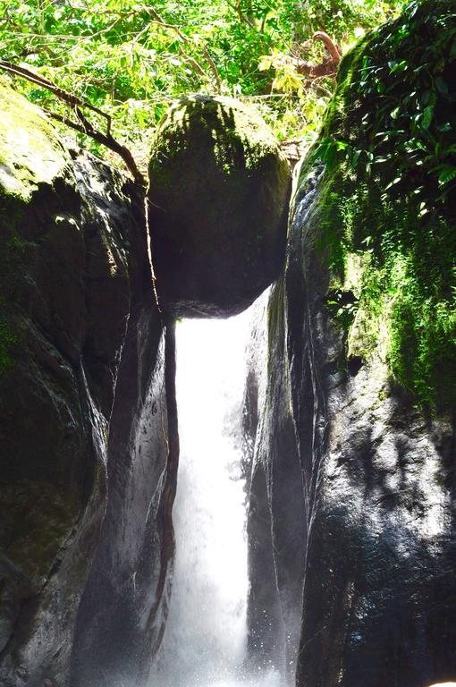 Big Bamboo De Uvita Luaran gambar