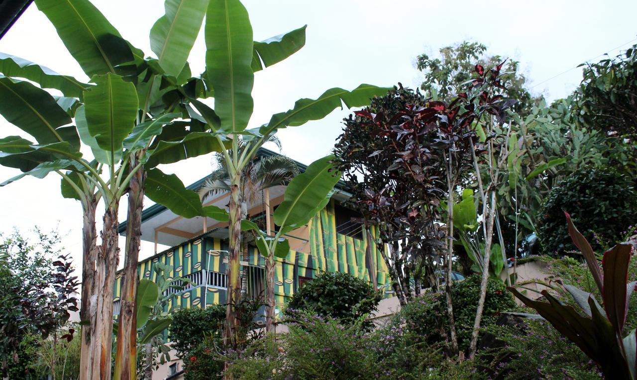 Big Bamboo De Uvita Luaran gambar